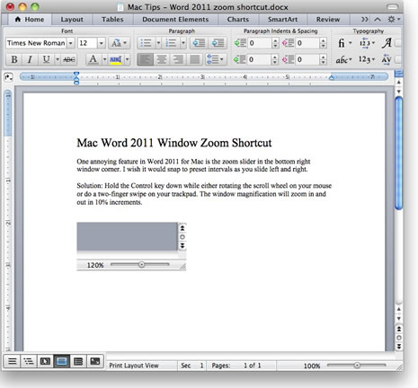 word 2011 basics for the mac